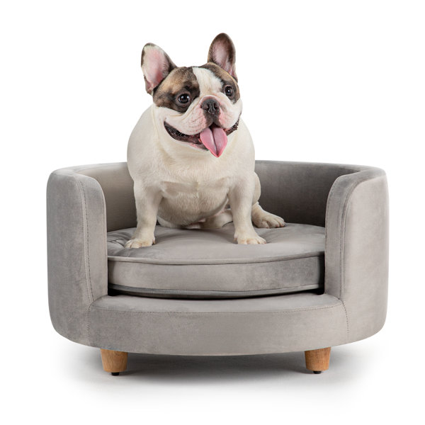 Dofferville oval shop dog sofa